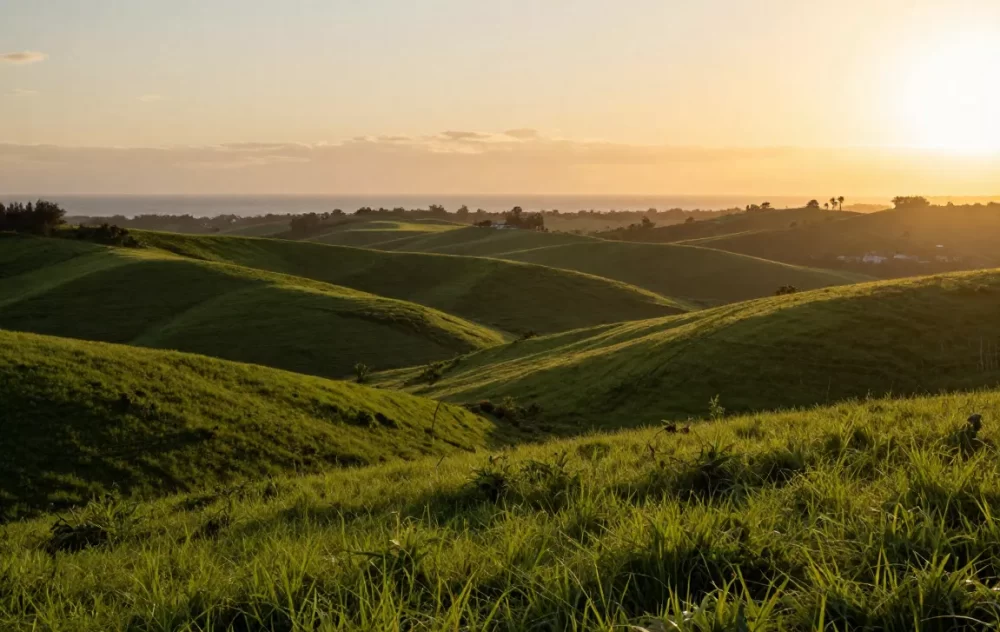 Buying land in Mexico