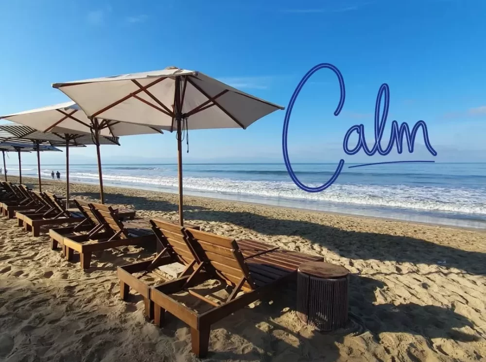 Chaos Erupts in Puerto Vallarta