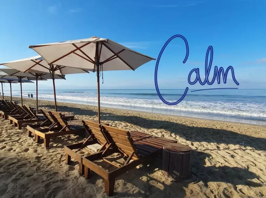 Chaos Erupts in Puerto Vallarta