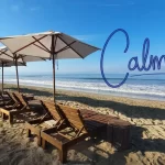 Chaos Erupts in Puerto Vallarta